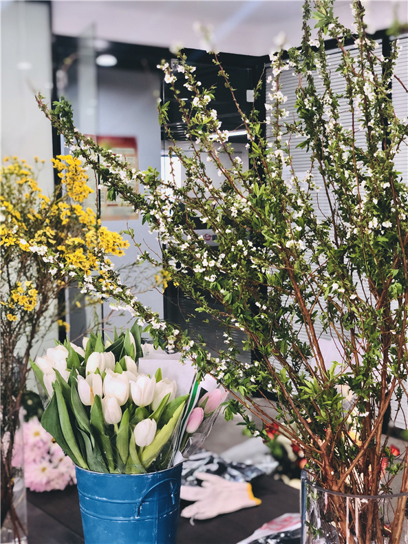 5c8b4a2513b3f.jpg 微信圖片_20190315141236.jpg